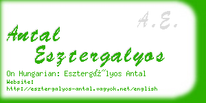 antal esztergalyos business card